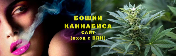 твердый Няндома