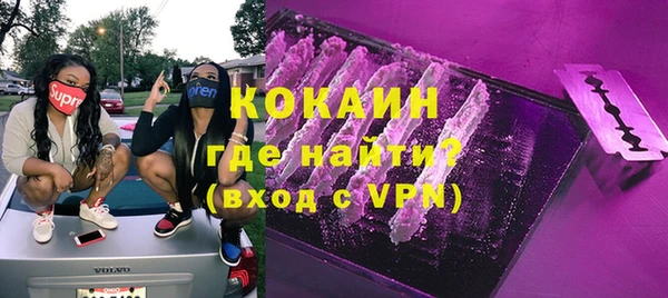 твердый Няндома