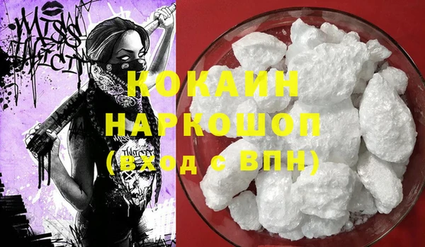 твердый Няндома
