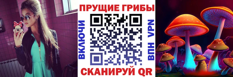 Псилоцибиновые грибы Psilocybine cubensis  магазин продажи   Зубцов 